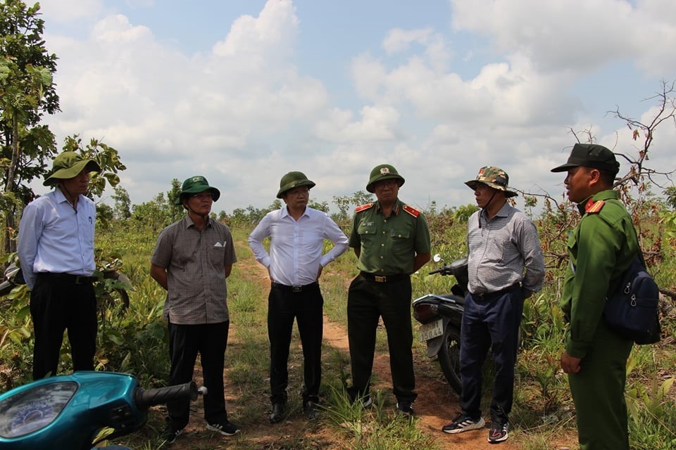 Lãnh đạo tỉnh Đắk Lắk kiểm tra thực địa hiện trường vụ phá rừng. Ảnh: T.X