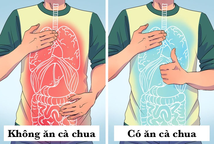 Bằng cách cung cấp cho cơ thể lycopene, hoạt động như một chất chống oxy hóa, cà chua giúp làm giảm các phân tử được gọi là gốc tự do có thể gây hại cho tế bào và làm suy yếu hệ thống miễn dịch của chúng ta. Nhờ đó, cà chua được xem là loại quả giúp giảm nguy cơ ung thư phổi, tuyến tiền liệt hoặc dạ dày. (Ảnh: Brightside)