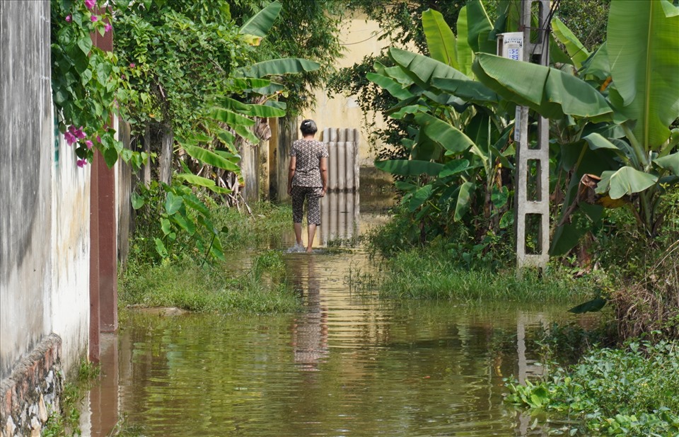 Cảnh người dân khu phố Ba Tân bì bõm trong dòng nước. Ảnh: Q.D