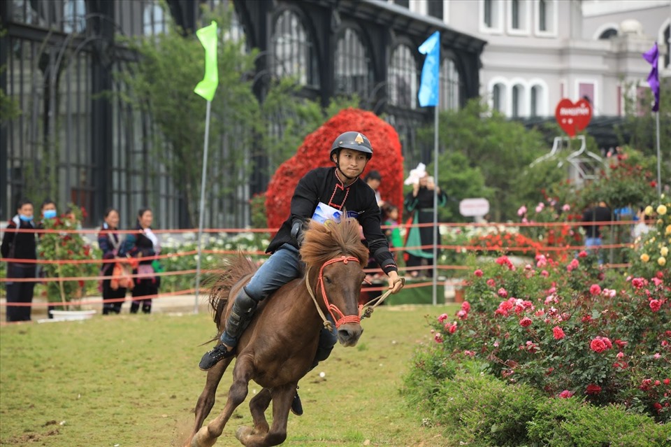 Giải đua “Vó ngựa trên mây” tại Sapa