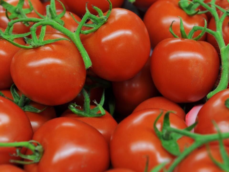 Cà chua là loại thực phẩm chứa nhiều chất dinh dưỡng tốt cho sức khỏe và nhan sắc. Ảnh: Pinterest