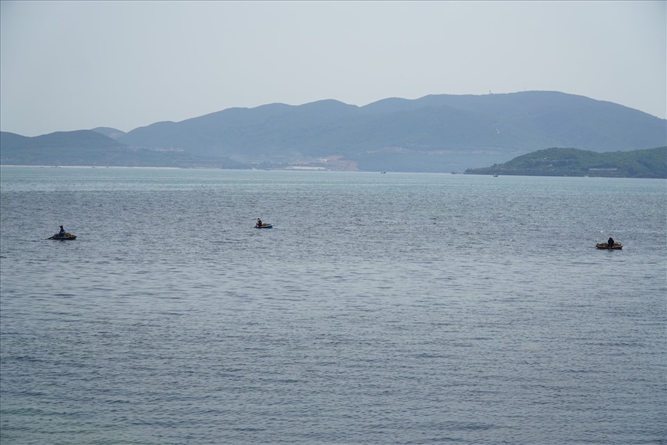 Hàng chục ngư dân dong thuyền lên biển thu hái rong mơ trên vịnh Nha Trang.
