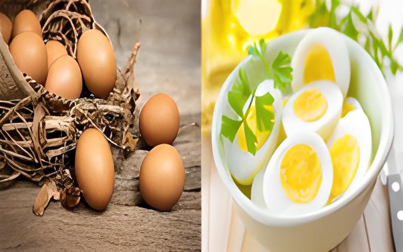 Trứng: Trứng chứa protein chất lượng cao, chất béo lành mạnh và các dưỡng chất quan trọng như vitamin B và choline. Protein trong trứng được tạo thành từ các axit amin rất có lợi đối với việc tăng cơ giảm mỡ và làm săn chắc cơ thể.