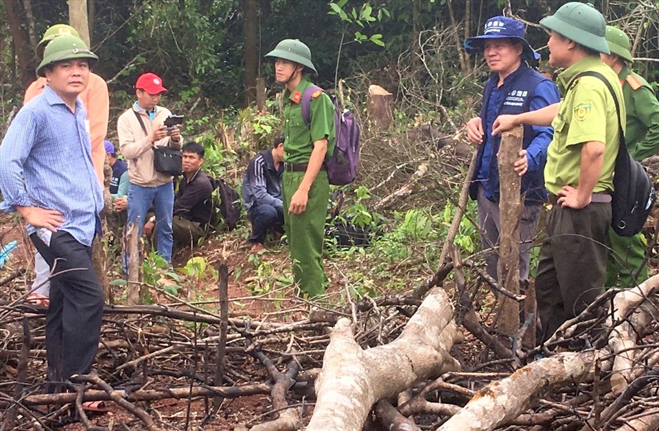 Đoàn kiểm tra của huyện Đakrông đi vào hiện trường vụ phá rừng. Ảnh: TH.