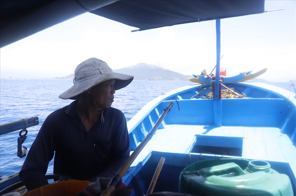 Vịnh Nha Trang là một nơi có nhiều ưu đãi về tài nguyên hải sản trong đó có các loài mực.