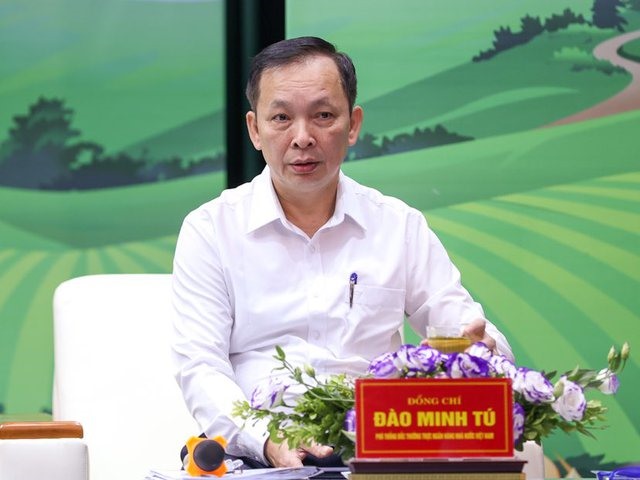 Phó Thống đốc NHNN Việt Nam Đào Minh Tú làm rõ các vấn đề liên quan đến vay vốn, tín dụng. Ảnh: VGP