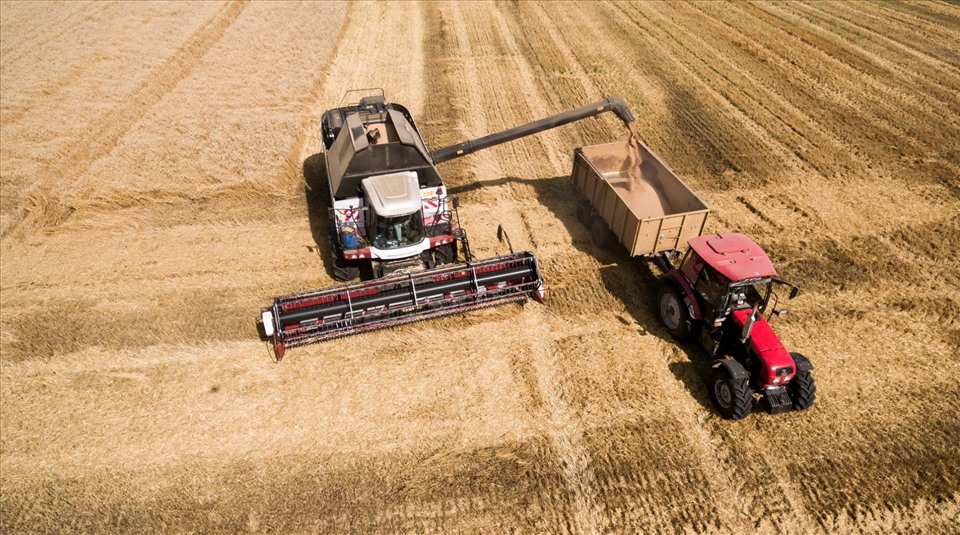 Harvesting wheat in Krasnodar, Russia.  Photo: Sputnik