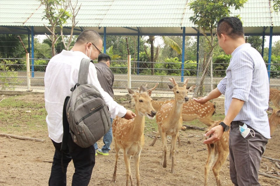 Du khách tham quan vườn thú mỹ quỳnh.