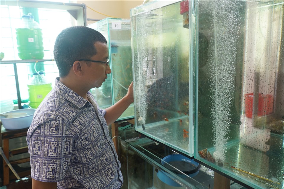 Anh Hồ Sơn Lâm - Phó trưởng phòng, phụ trách phòng Kỹ thuật nuôi sinh vật biển.