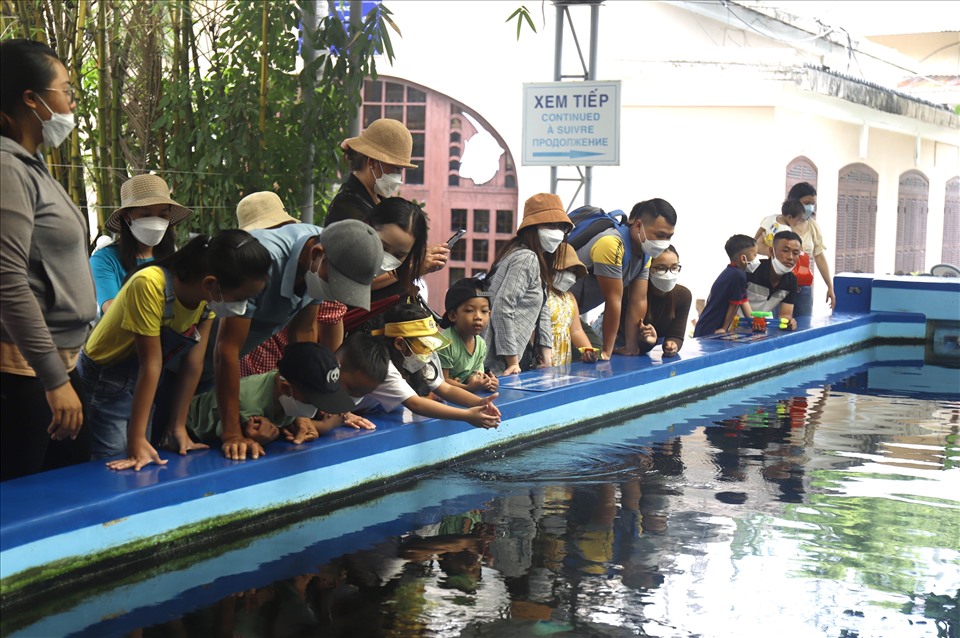 Du khách tham quan sinh vật biển ở Viện Hải dương học.