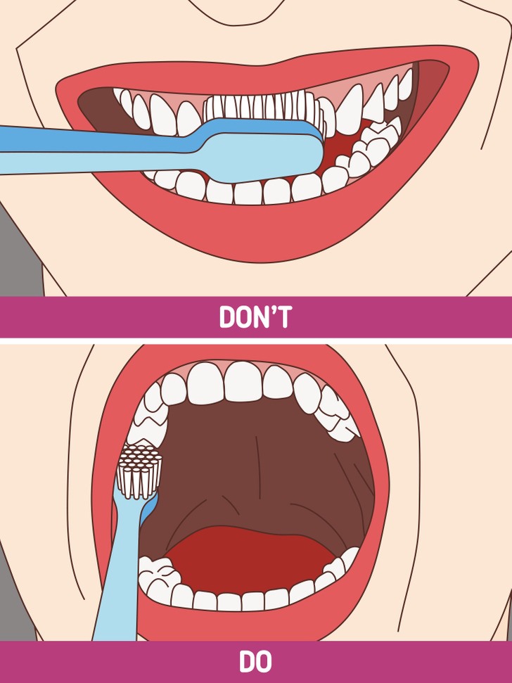 Các bác sĩ nha khoa khuyên rằng, khi đánh răng hãy luôn bắt đầu từ mặt sau của hàm răng, sau đó di chuyển dần ra mặt trước của răng. Kết thúc bằng các bề mặt nhai bên trong hàm. (Ảnh: Brightside)