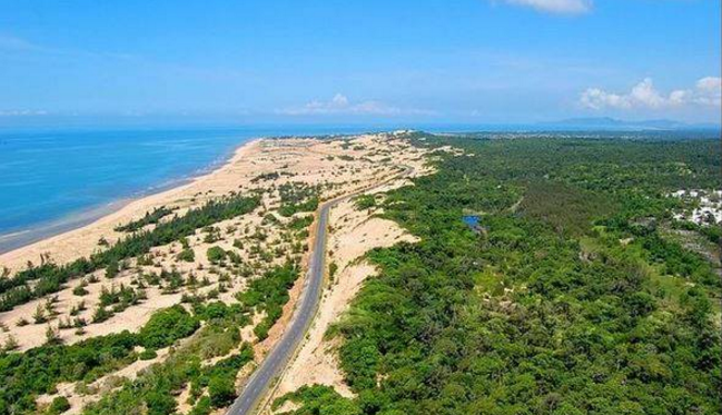 Con đường từ Vũng Tàu đến Hồ Tràm kéo dài khoảng 30km, hai bên đường trồng hai rặng anh đào, bình yên mà thơ mộng, lãng mạn vô cùng. - Ảnh: vntrip