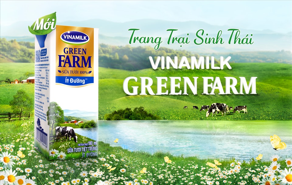 Khám phá vẻ đẹp của Trang trại bò sữa Daily Farm Mộc Châu