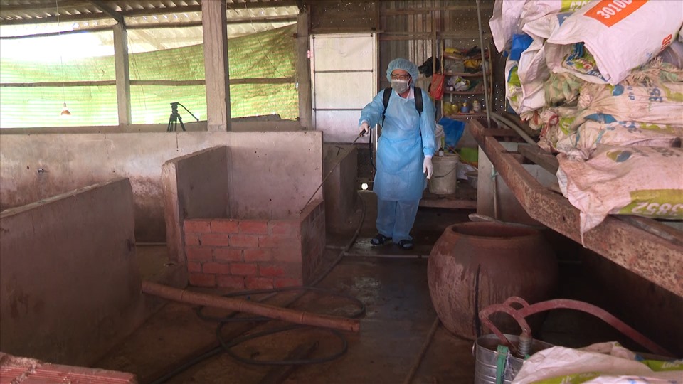 Cán bộ Thú y Bạc Liêu phun xịt khử trùng tại một chuồng nuôi heo