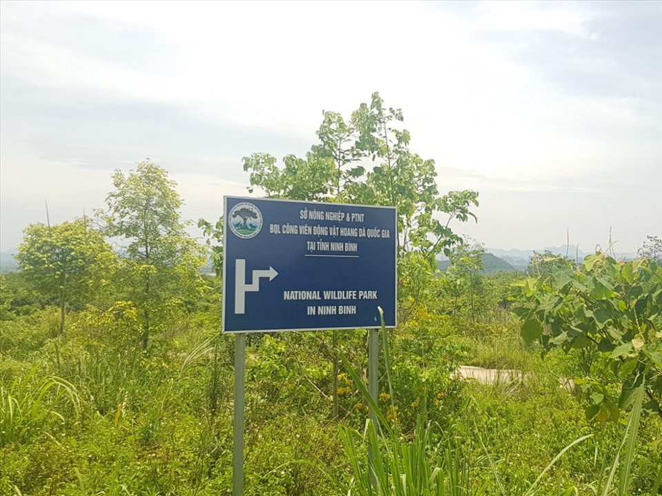 UBND tỉnh Ninh Bình đã thành lập Ban quản lý Công viên động vật hoang dã Quốc gia (trực thuộc Sở Nông nghiệp và Phát triển nông thôn). Ảnh: NT