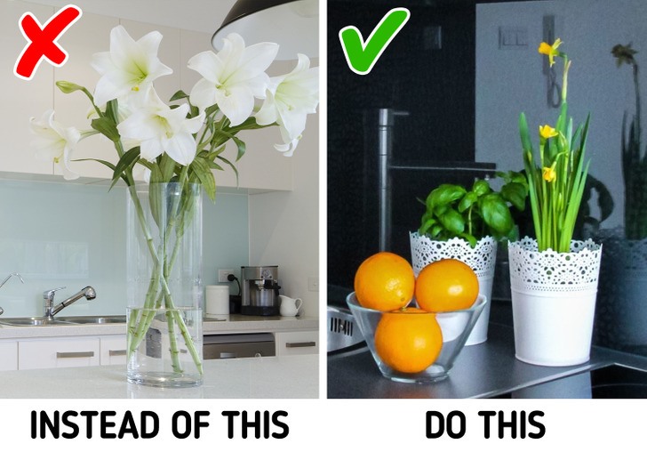 Trang trí phòng khách bằng hoa quả có thể giúp ngôi nhà trông sang hơn. Ảnh: Bright Side