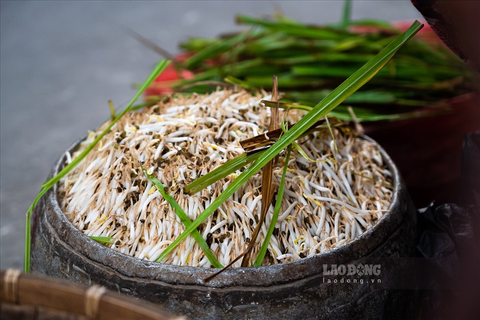 Giá đỗ là món ăn quen thuộc trong bữa cơm hằng ngày của người Việt. Từng cọng giá đỗ được bà Ngân làm ra như một nét tinh hoa đáng quý, một nét đẹp của ẩm thực truyền thống.