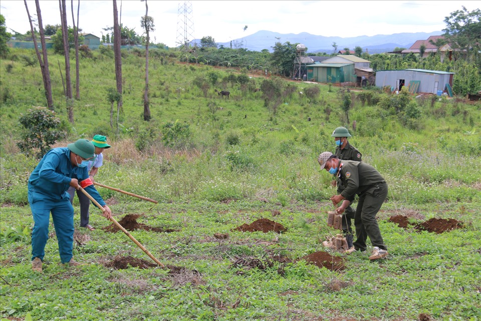 Lực lượng chức năng huyện Đắk Glong tiến hành trồng lại rừng ngay sau khi đã cưỡng chế thu hồi được đất rừng. Ảnh: D.P.