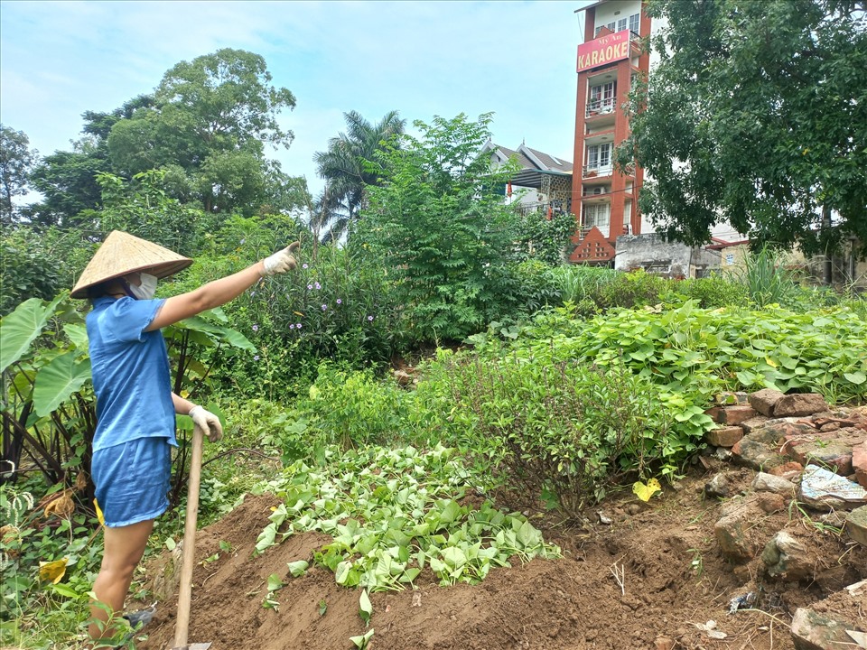 Chị Khang chỉ cho PV khu vườn rau của nhà mình.