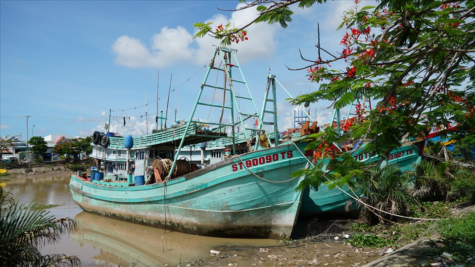 Ông Nguyễn Văn Thư, người có hơn 40 năm gắn bó với nghề khai thác hải sản ở huyện Trần Đề than thở, bốn chiếc tàu cá của nhà ông đã neo đậu hơn một tháng nay. Tàu đậu, không chỉ gia đình ông thất thu mà hơn 30 ngư phủ theo tàu bấy lâu cũng không còn nguồn thu nhập.