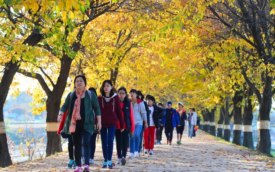 Không chỉ khách quốc tế, nhiều người dân trong nước cũng rất thích thú khi tới tham quan nơi này.