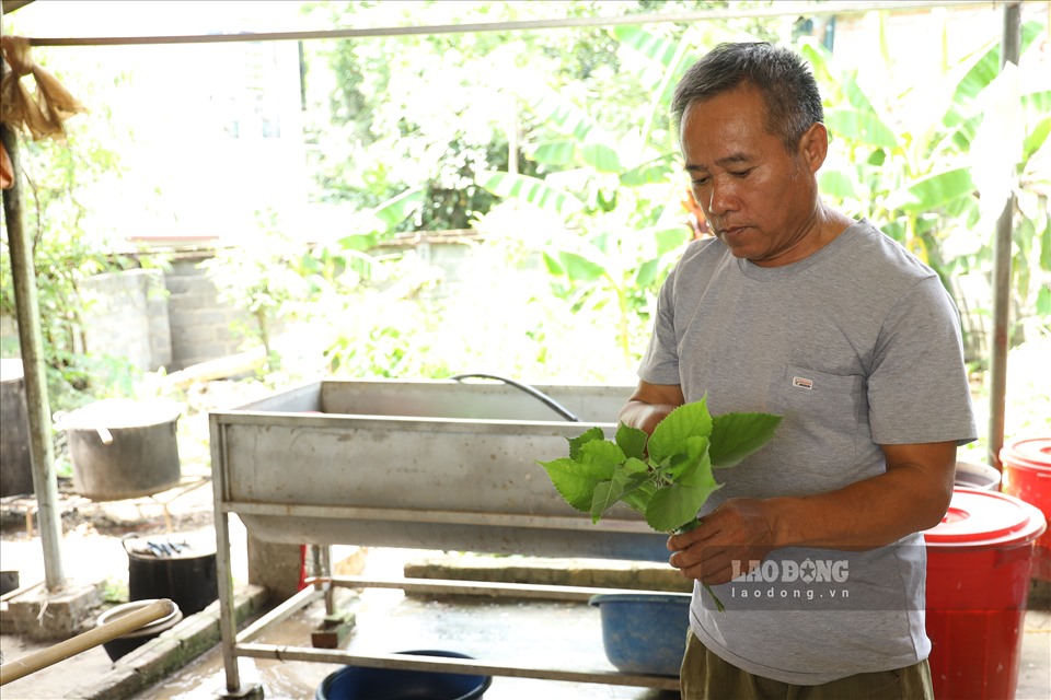 Nguyên liệu chính của giấy Dó là vỏ của cây Dướng - loại cây thường mọc tại các vùng đồi núi cao, người dân gặp nhiều khó khăn trong việc thu hoạch chúng.