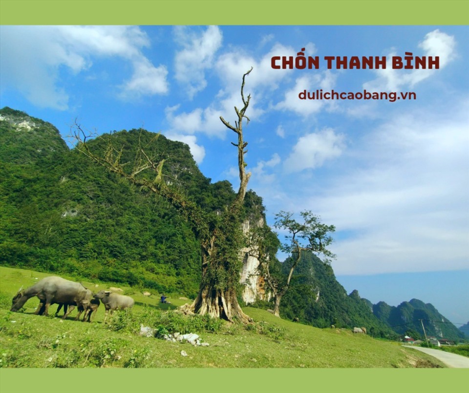 Đồng cỏ yên bình trên đường vào hồ.