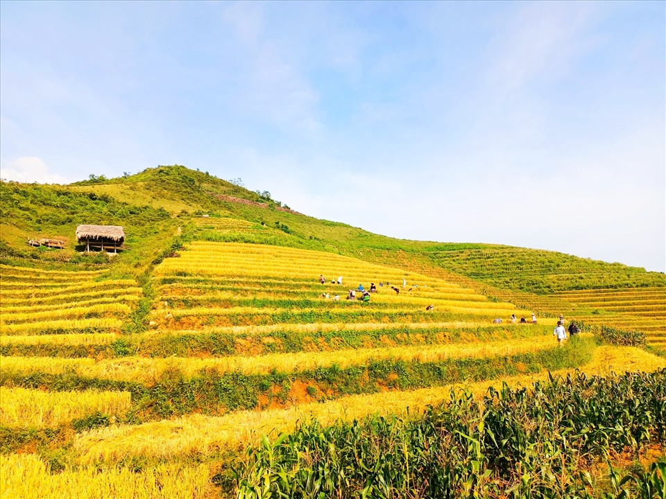 Giờ đây Khe Táu đang hướng đến phát triển du lịch, nâng cao đời sống vật chất.