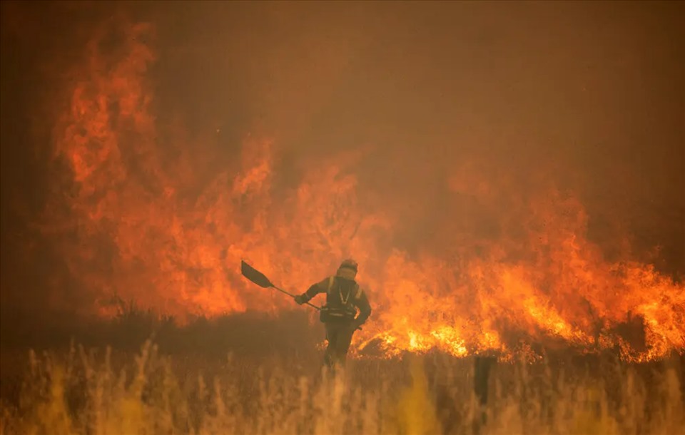 Cháy rừng hoành hành ở Sierra de la Culebra, tỉnh Zamora, Tây Ban Nha, tháng 6.2022. Ảnh: Europa Press