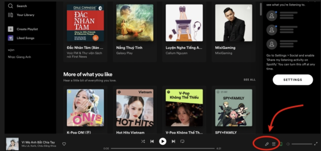 Biểu tượng micro mới trong nền tảng Spotify. Ảnh: chụp màn hình