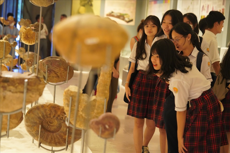 Sự ra đời của Bảo tàng Hóa thạch Hà Nội (Hanoi Fossil Museum) là khởi đầu của hành trình tìm kiếm, gìn giữ, bảo tồn và làm sống lại trọn vẹn câu chuyện lịch sử tự nhiên về sự sống trên Trái Đất, nguồn gốc của sự sống, quá trình tiến hóa của sinh giới từ hàng trăm triệu năm trước.
