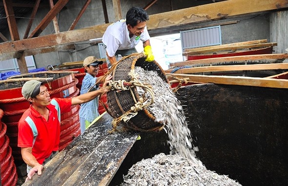 Quy trình sản xuất nước mắm Phụng Hưng khép kín và hiện đại. (Ảnh: nuocmamphunghung)