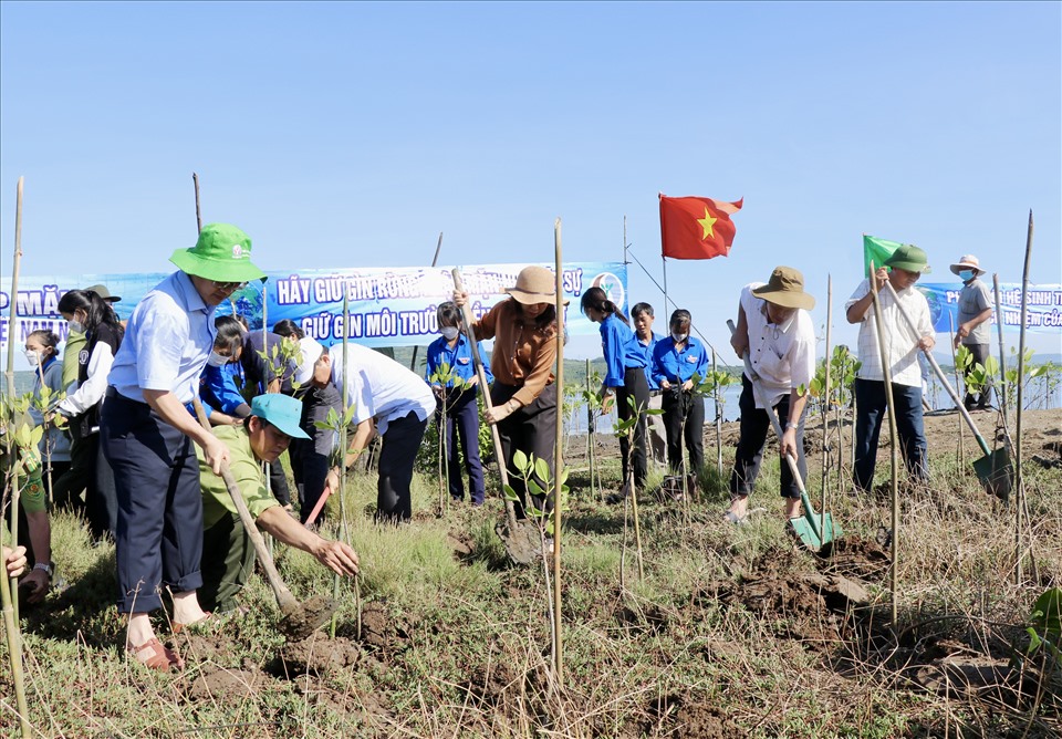 Các đại biểu chung tay trồng 500 cây bần, đước tại khu vực Đầm Ô Loan.
