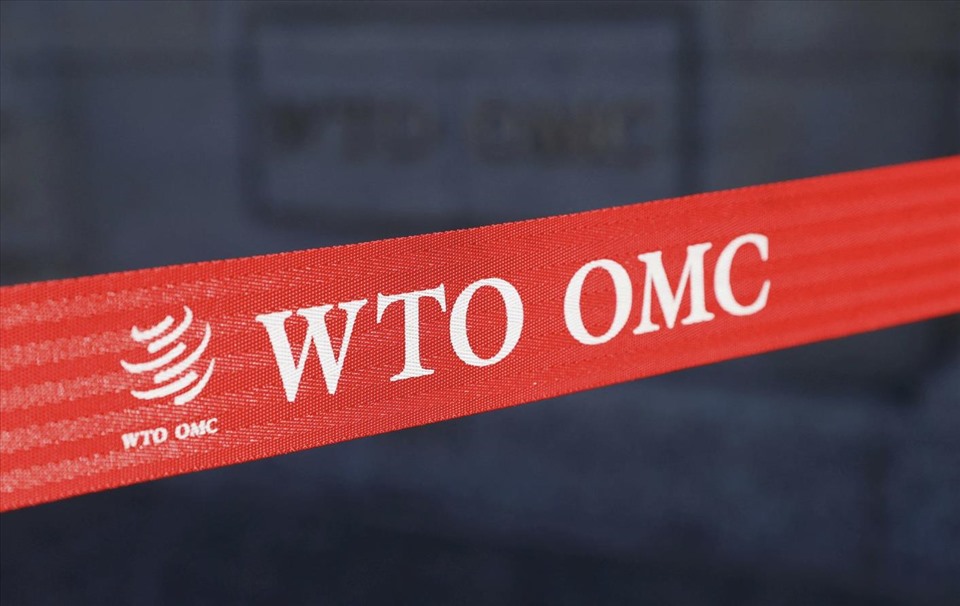 Logo of the World Trade Organization (WTO).  (Source: Reuters)