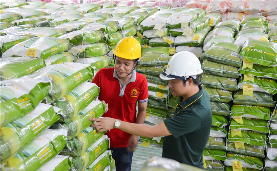 Nhân viên Tập đoàn Lộc Trời kiểm tra cẩn thận kho trữ gạo của đơn vị. Ảnh: TĐLT