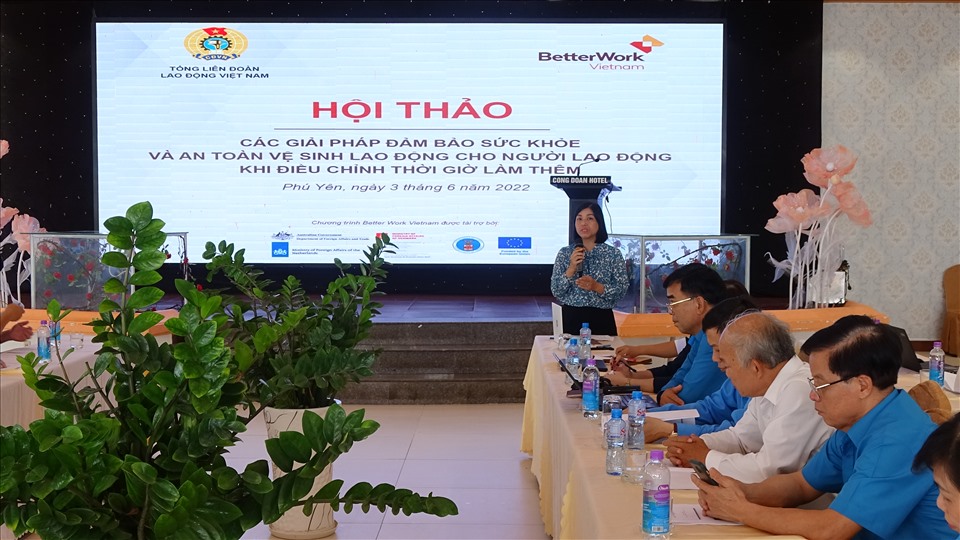 Bà Hồ Thị Kim Ngân – Phó Trưởng ban Quan hệ Lao động, Tổng LĐLĐ Việt Nam chủ trì Hội thảo. Ảnh Đức Thiệm