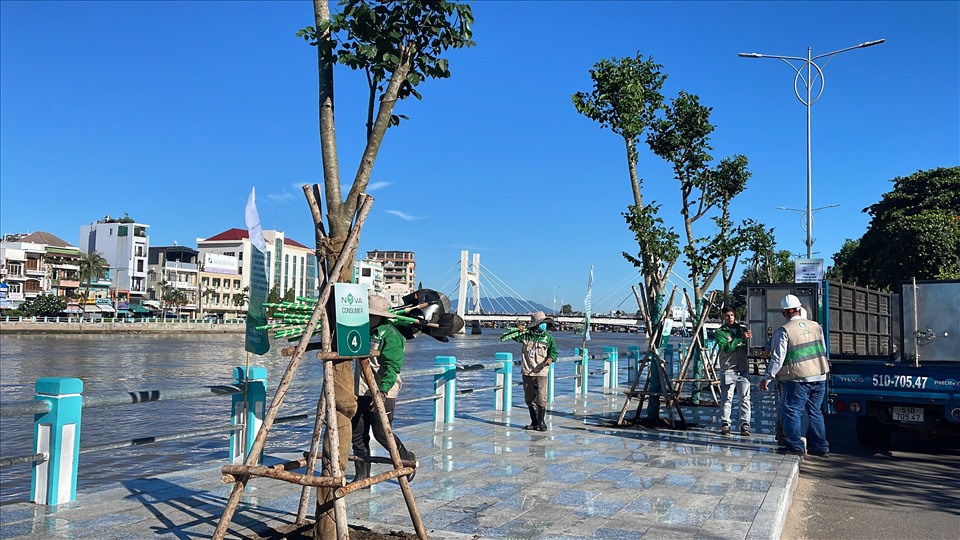 Hàng cây xanh vừa được trồng bên dòng sông Cà Ty giữa lòng TP.Phan Thiết. Ảnh: DT