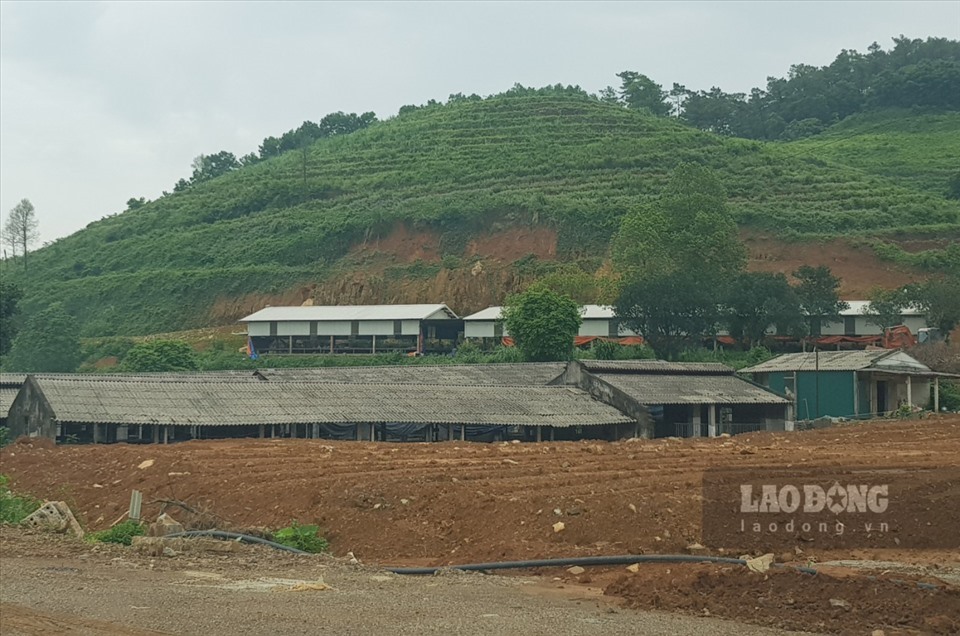 Hộ gia đình bà Nguyễn Thị Qúy đã lấn chiếm 1.100m2 rừng sản xuất tại xã Phú Long, huyện Nho Quan để xây dựng trang trại nuôi lợn. Ảnh: NT