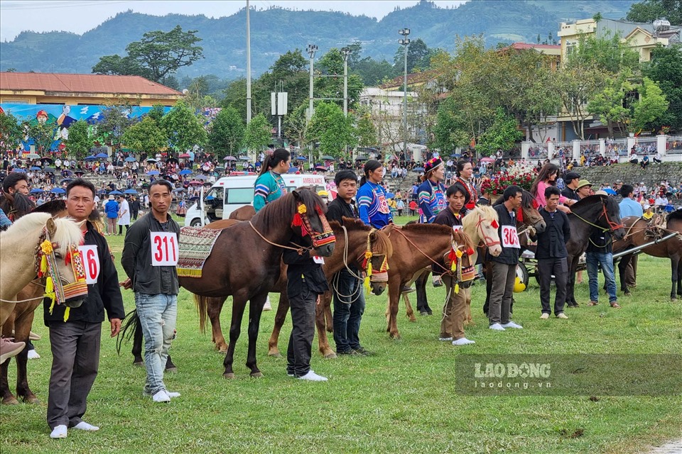 Đặc biệt, sáng cùng ngày, trong khuôn khổ chương trình, Giải đua ngựa truyền thống mở rộng lần thứ 15 được tổ chức với 64 nài ngựa đến từ nhiều địa phương trong tỉnh Lào Cai và một số nài ngựa đến từ Hà Giang, Tuyên Quang.