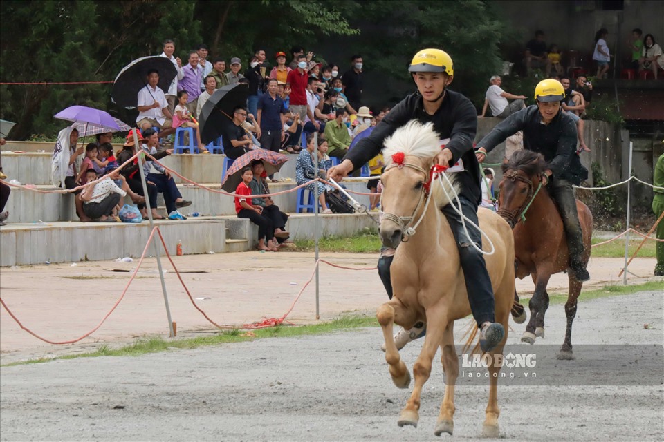 Tại giải đua cũng xuất hiện nhiều nài ngựa có bộ lông tuyệt phẩm.