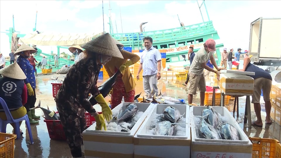 Ngư dân lên hàng hải sản sau chuyến ra khơi tại Cảng cá Gành Hào, Đông Hải, Bạc Liêu