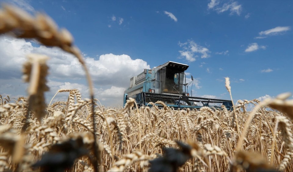 Kherson and produces one-third of Ukraine's wheat.  Photo: AFP