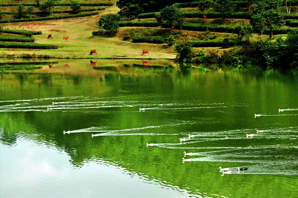 Bức tranh phong cảnh thiên nhiên tuyệt mĩ tại vực Ròng, xã Sơn Kim 2, huyện Hương Sơn - Hà Tĩnh.