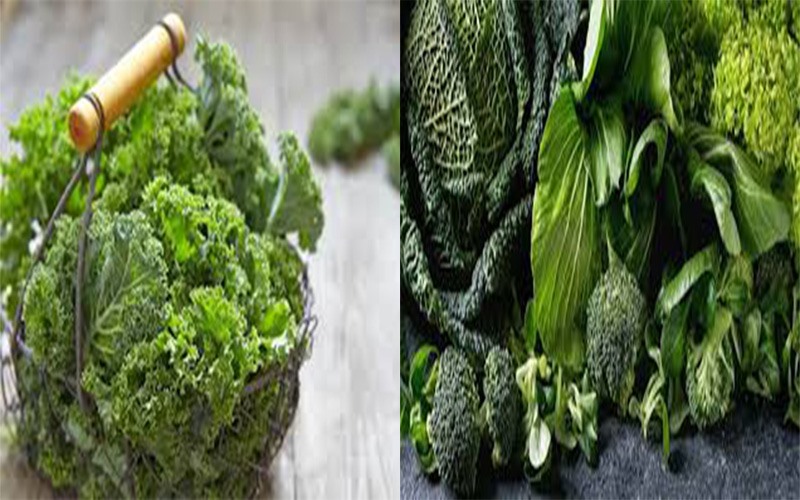 Rau lá sẫm: Rau lá xanh sẫm rất giàu folate và vitamin B6. Chúng có khả năng phá hủy homocysteine, một chất gây sa sút trí tuệ, làm mỏng thành động mạch, gây bệnh Alzheimer vv…. Hãy bổ sung các loại rau có lá sẫm màu như rau mùi tây, rau diếp, cải bó xôi…vào chế độ ăn mỗi ngày để giúp cho hệ thần kinh luôn được khỏe mạnh.