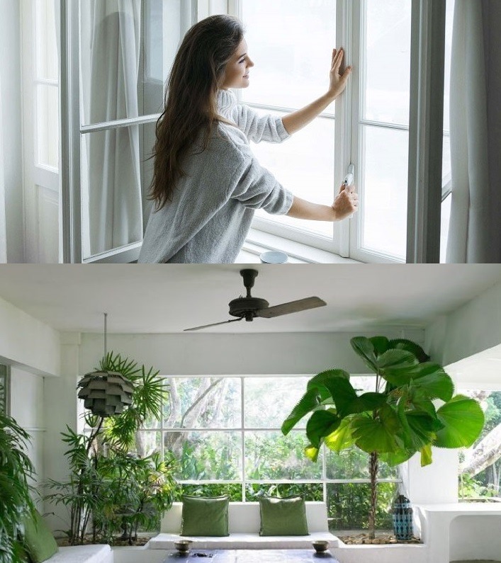 Đóng cửa, đặt thêm cây xanh trong phòng giúp giảm nhiệt độ hiệu quả khi trời nắng nóng. Đồ hoạ: M.H