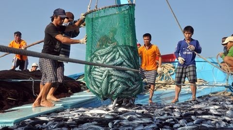 ชาวประมงเวียดนามตกปลาในทะเล ภาพ: LDO