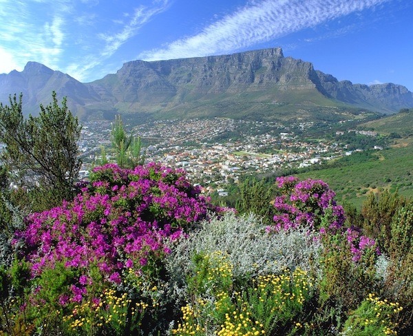 Đến với Nam Phi, du khách sẽ được giới thiệu ghé thăm núi Bàn. Ngọn núi đặc biệt này có phần đỉnh bằng phẳng. Từ đây, du khách có thể nhìn ra Cape Town để ngắm nhìn thành phố một cách trọn vẹn. - Ảnh: TST Tourist