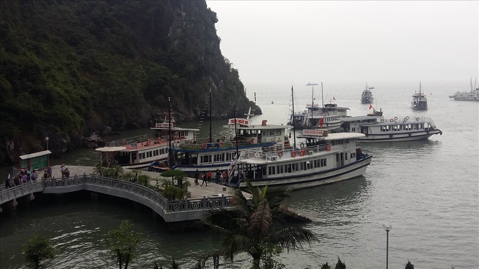 Dừng cấp lệnh cho tàu du lịch hoạt động trên vịnh Hạ Long từ 10 hôm nay (2.7). Ảnh: Nguyễn Hùng