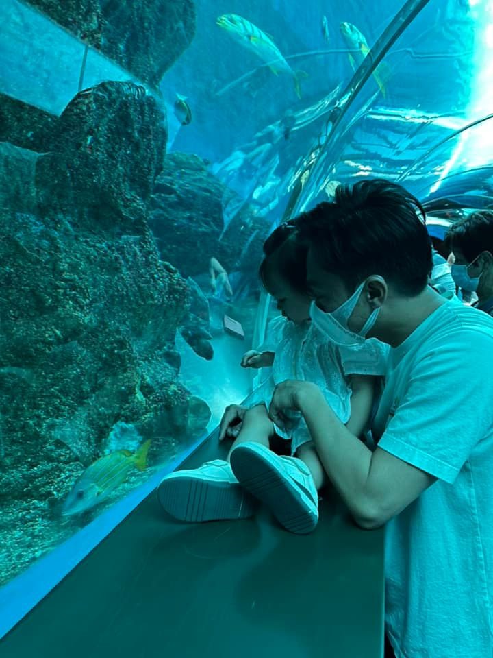 Suchin thích thú ngắm nhìn những chú cá ở thủy cung S.E.A Aquarium cũng nằm trên đảo Sentosa của Singapore.