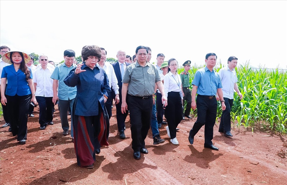 Thủ tướng Chính phủ Phạm Minh Chính thăm cánh đồng ứng dụng công nghệ cao của Tập đoàn TH tại huyện Nghĩa Đàn. Ảnh: TD